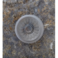 jelly-cup-flat-03